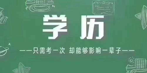 成人高考,成人高考2020 诚心推荐洛阳青洛教育信息咨询供应
